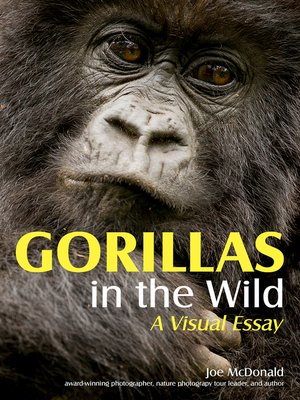cover image of Gorillas in the Wild